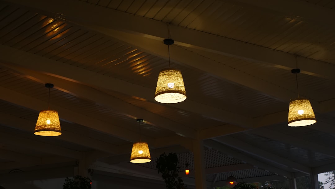 Photo Ceramic bird-shaped ceiling light