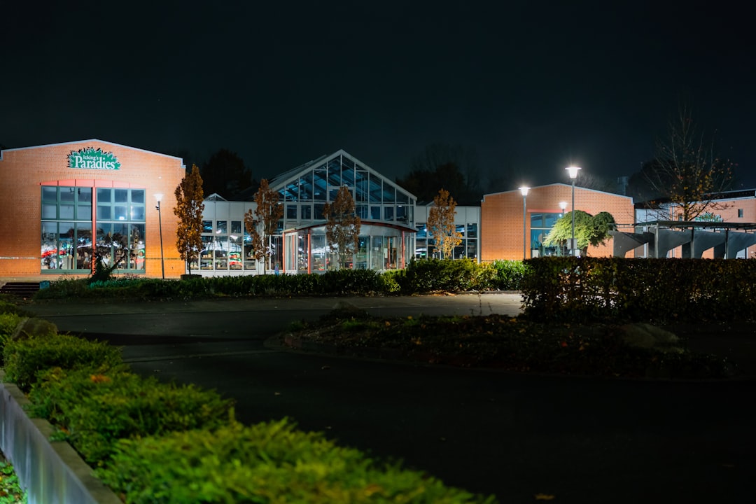 Photo nursery lighting