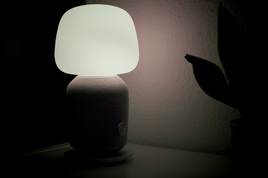 Photo rechargeable lamp shade